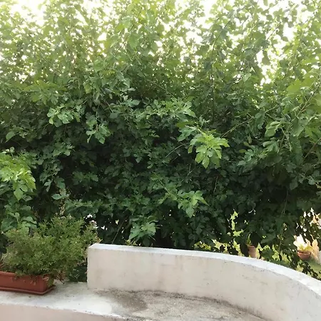 度假居 A Casa Di Bibi