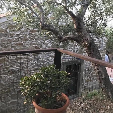 度假居 A Casa Di Bibi *