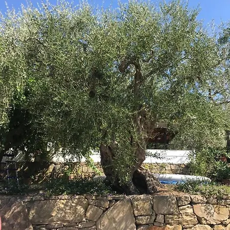 A Casa Di Bibi 卡普多兰多