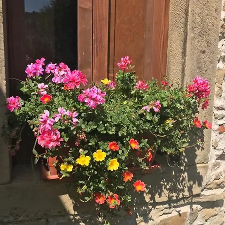 A Casa Di Bibi 卡普多兰多