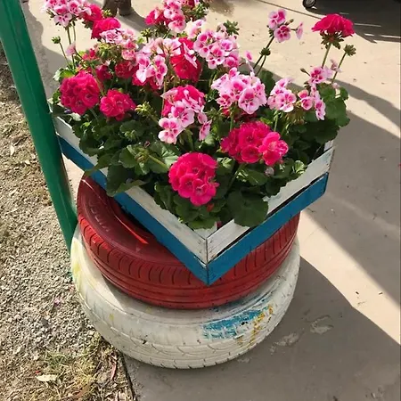 A Casa Di Bibi 卡普多兰多